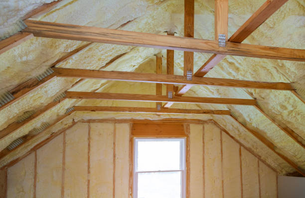 Professional Insulation Contractor in Hanna City, IL