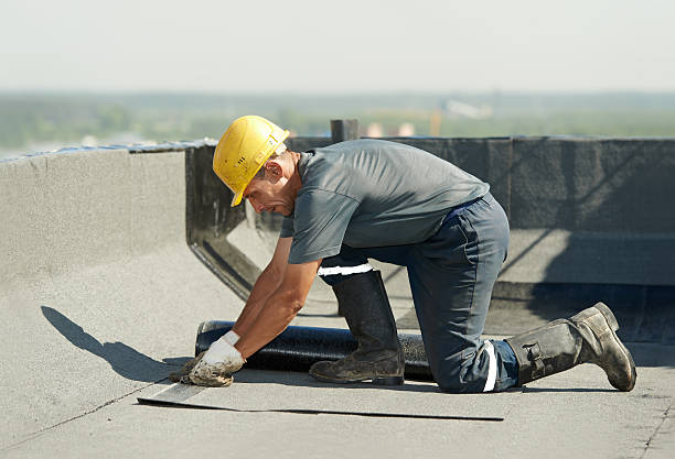 Best Insulation Maintenance and Repair in Hanna City, IL