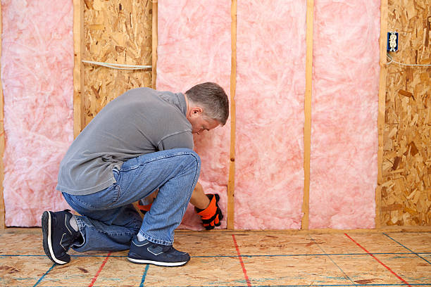Best DIY Insulation Kits and Guidance in Hanna City, IL